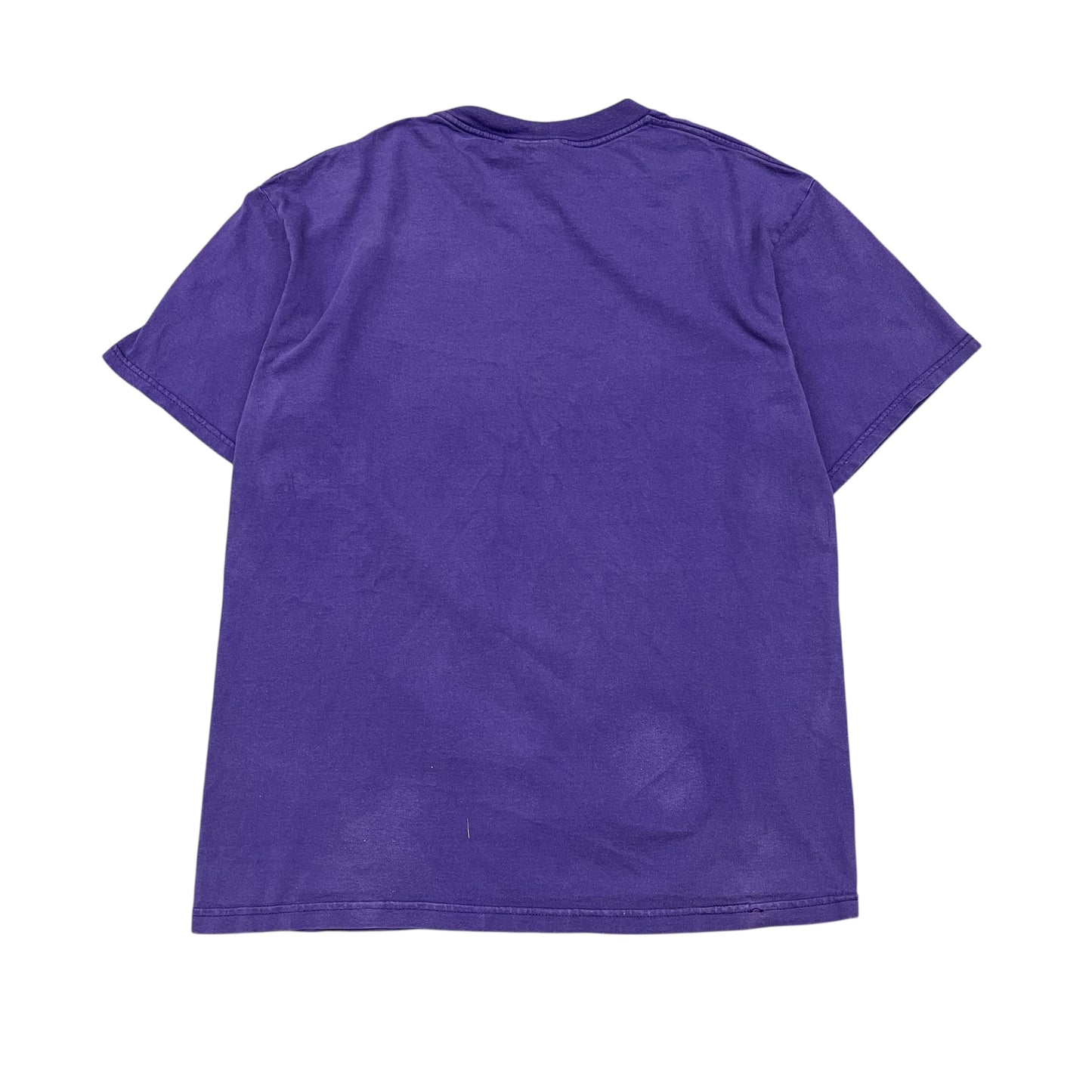 Vintage Minnesota Vikings Lee Sport T-Shirt Size Large