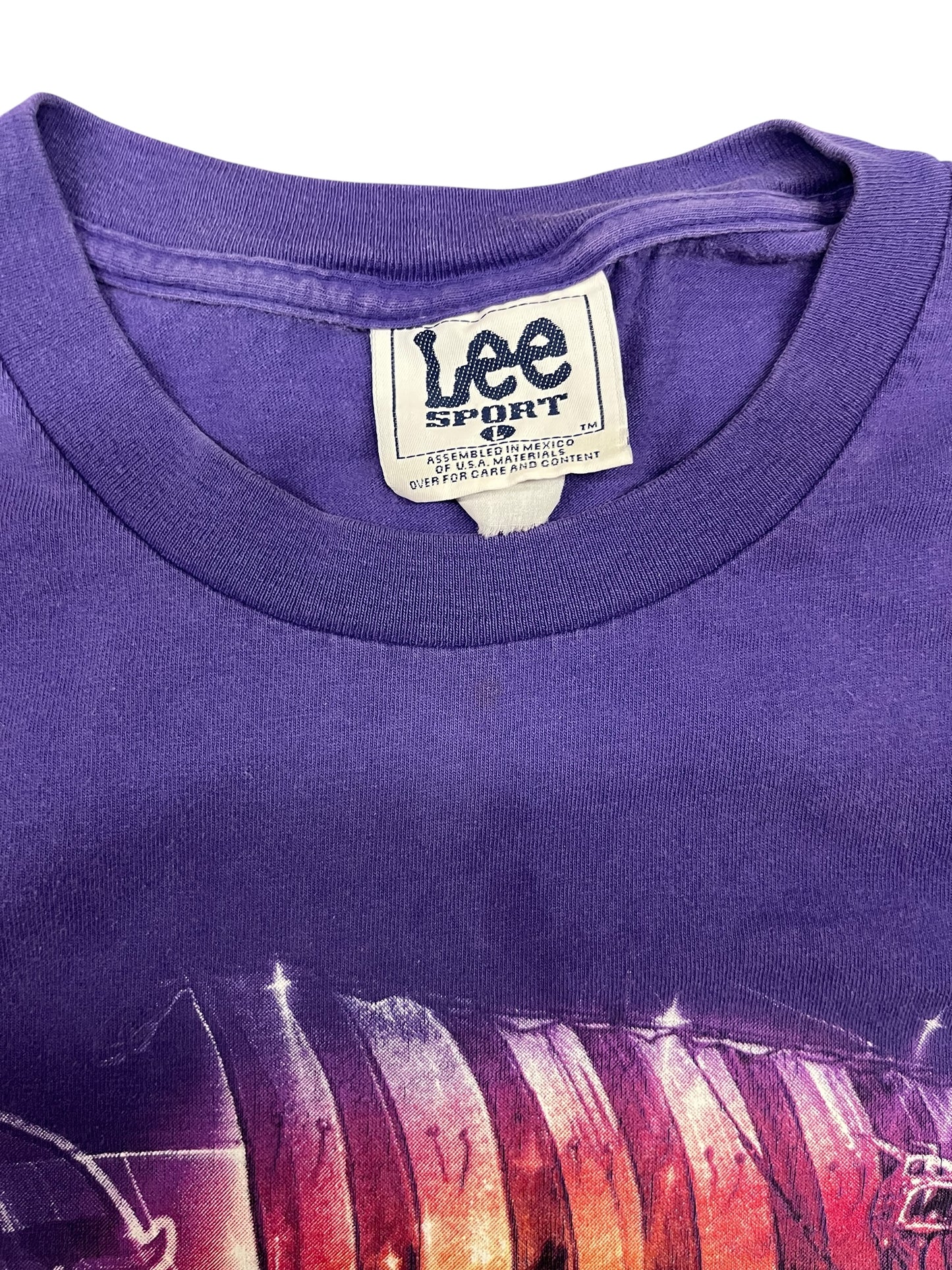 Vintage Minnesota Vikings Lee Sport T-Shirt Size Large
